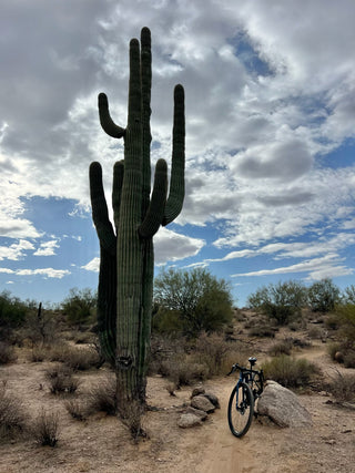 Escape Winter’s Grasp: Gravel Cycling Paradise in Arizona’s Hawes Trail Network